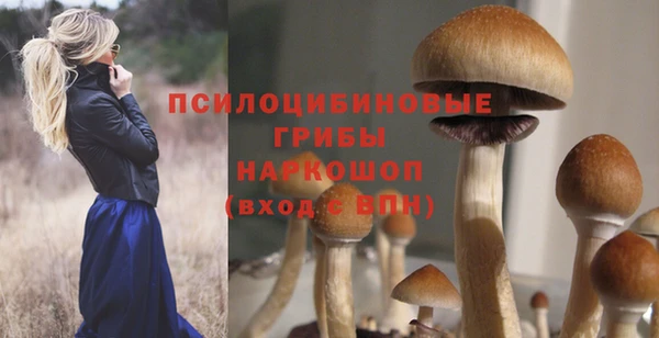 spice Волоколамск