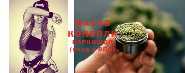 молекула духа Вязьма
