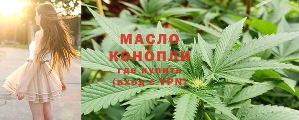 стаф Вяземский