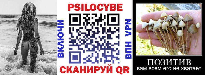 Псилоцибиновые грибы ЛСД  Купить  Балтийск 