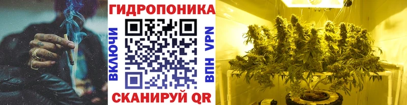 Шишки марихуана планчик  Купить закладки  Балтийск 